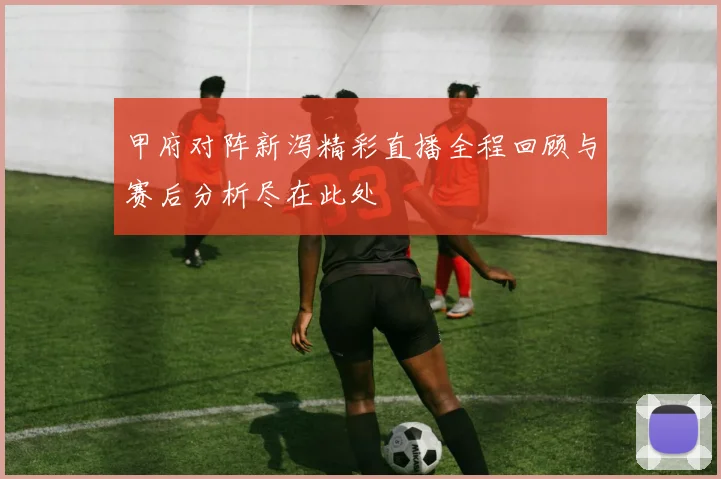 甲府对阵新泻精彩直播全程回顾与赛后分析尽在此处