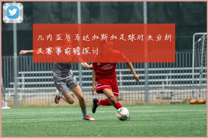 几内亚与马达加斯加足球对决分析及赛事前瞻探讨