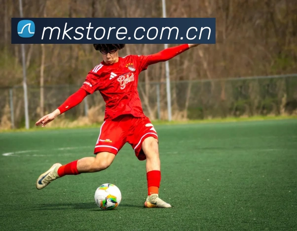 MK体育服务体系